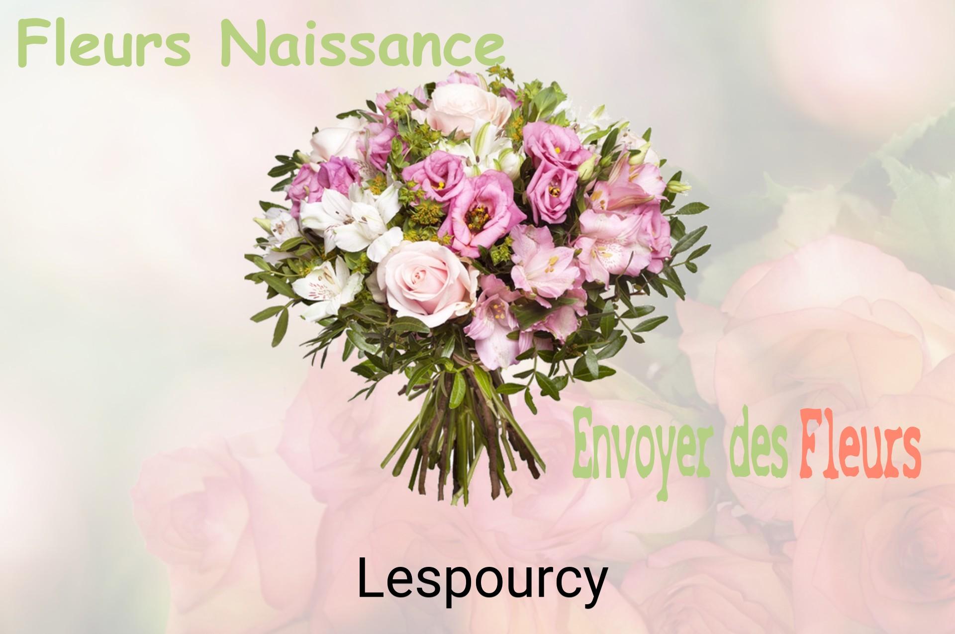 Bouquet de fleurs de naissance livré à Lespourcy