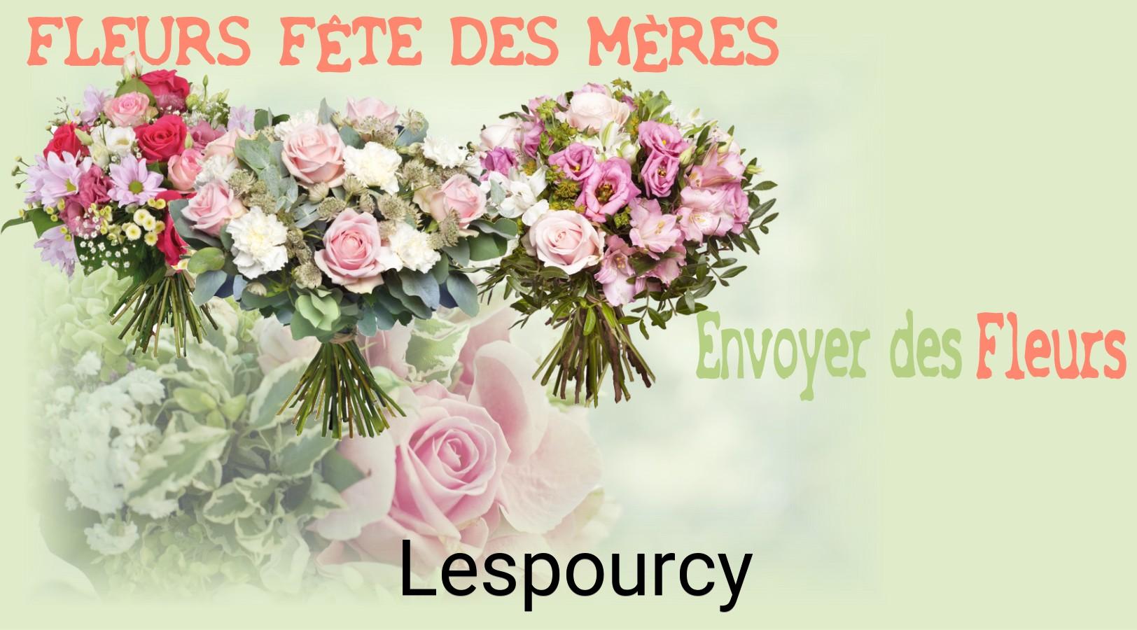 Bouquet de Fête des Mères livré à Lespourcy